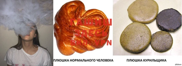 сатива Абаза