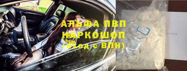 сатива Абаза