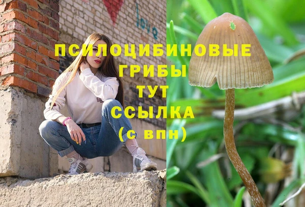 скорость Абинск
