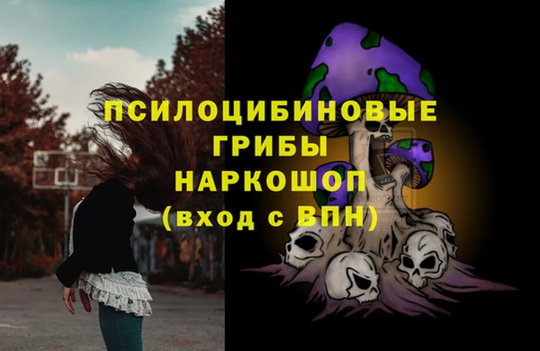 сатива Абаза