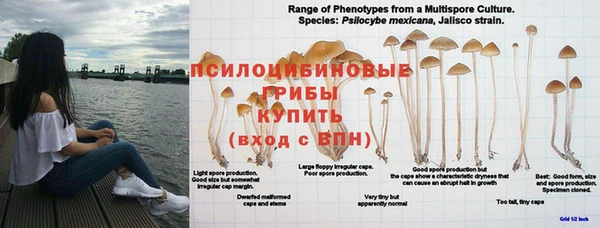 молекула духа Абдулино