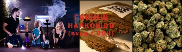 сатива Абаза