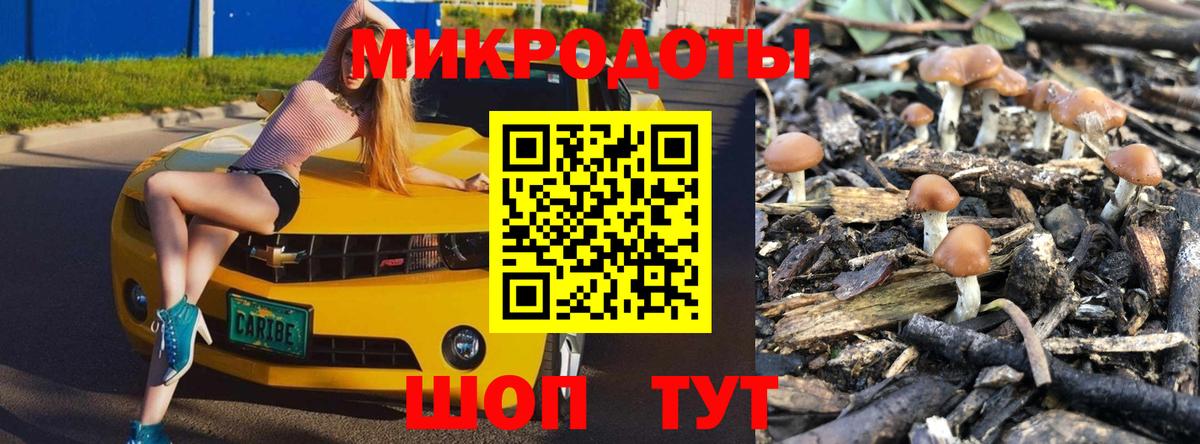 Псилоцибиновые грибы GOLDEN TEACHER  купить наркотики цена  Липецк  Вход с VPN 