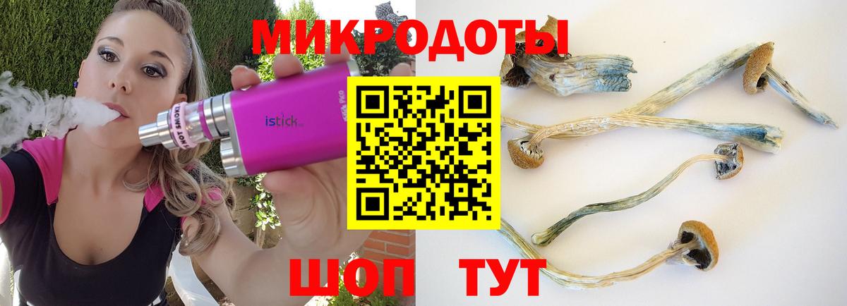 Псилоцибиновые грибы Magic Shrooms Липецк